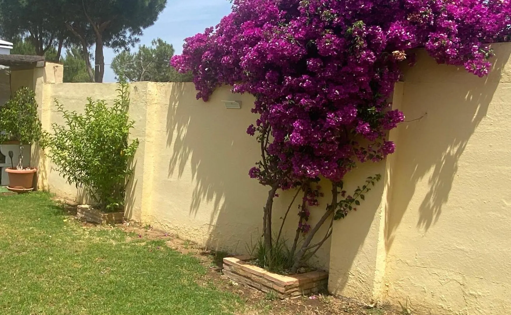 Δωμάτια σε οικογενειακή κατοικία Suite Huelva Garden Aljaraque